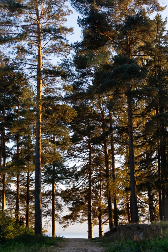 Photograph by Ольга Михайлова