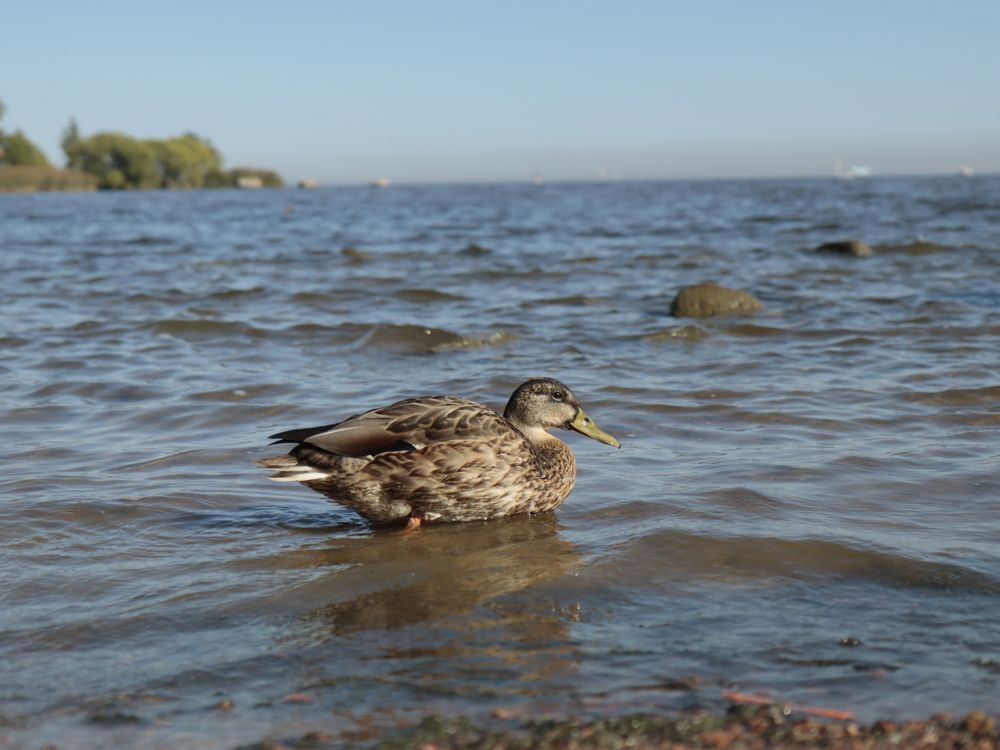 Photograph by Екатерина Слепнева
