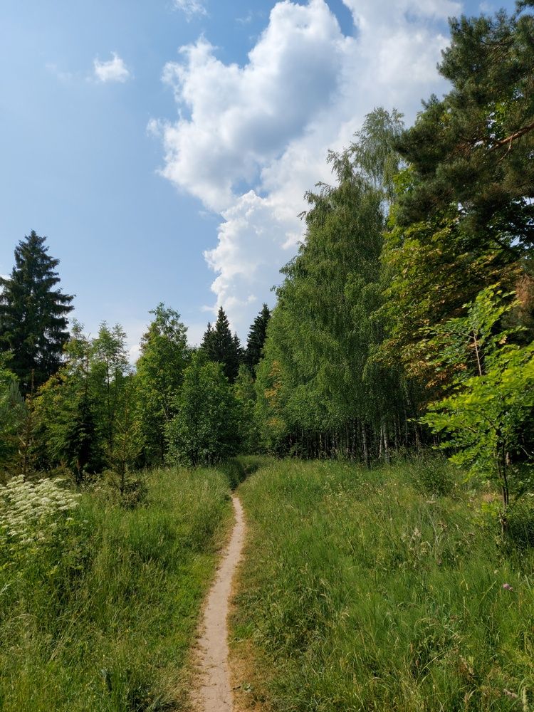 Photograph by ЭЛЬМИРА  ИСМАИЛОВА