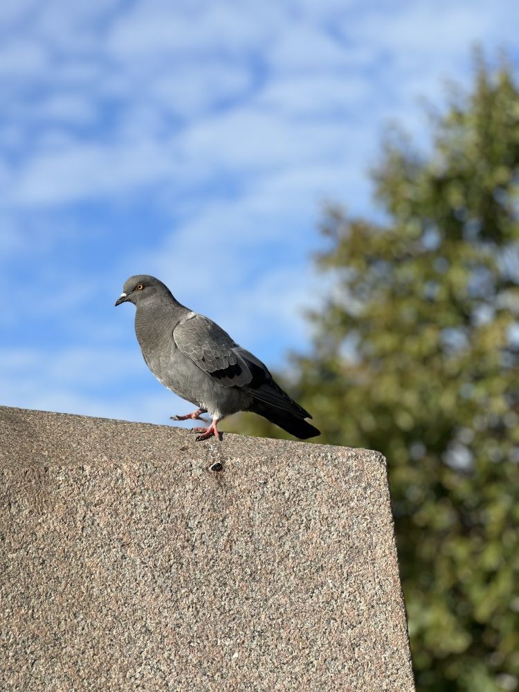 Photograph by Екатерина Слепнева