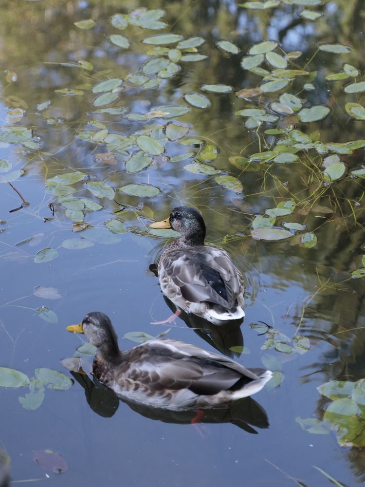 Photograph by Екатерина Слепнева