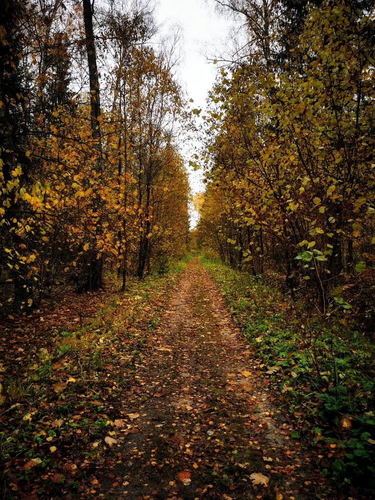 Photograph by Елена Артёменко