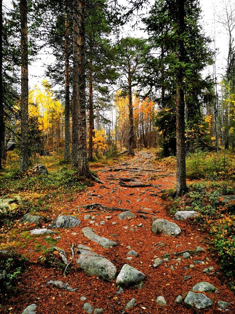 Photograph by Елена Артёменко