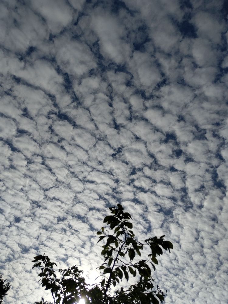 Photograph by Татьяна