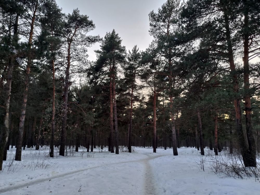 Photo #11230082