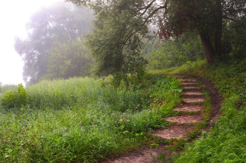 Фотография автора Михаил Назаров