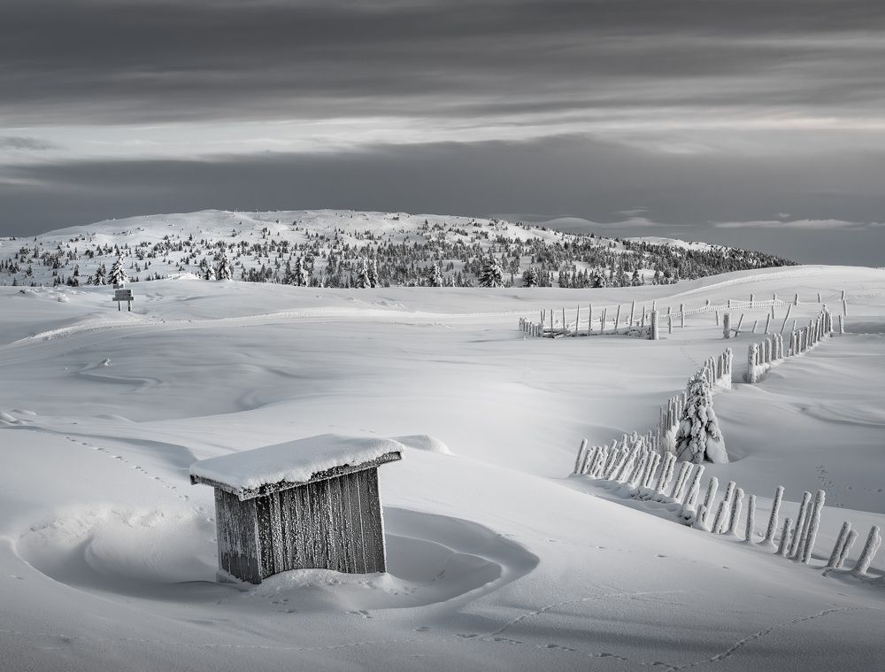 Photograph by Susn Jensen