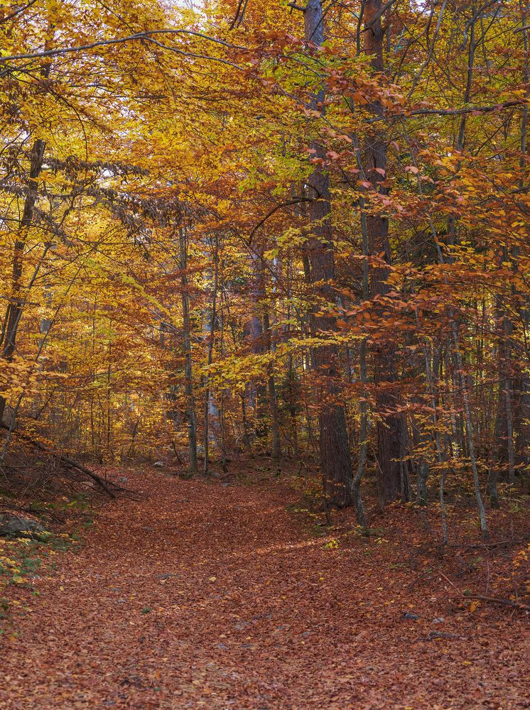 Photograph by Taтьяна Войлокова