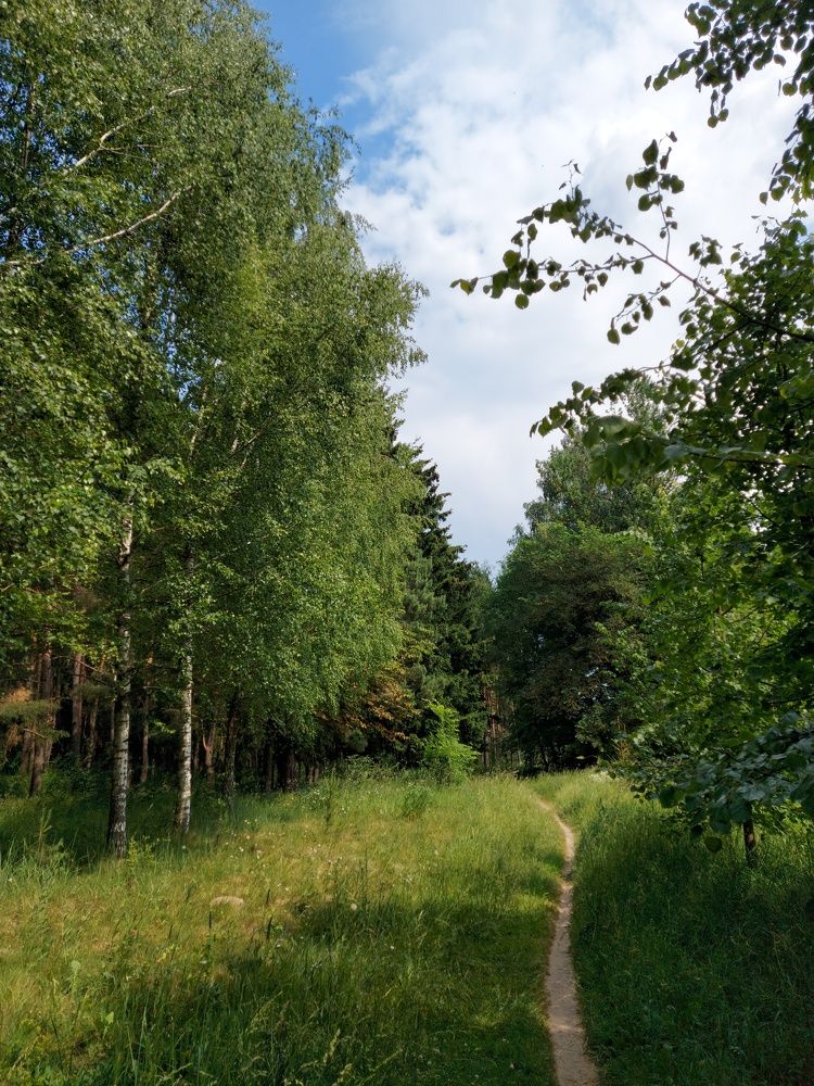 Photograph by ЭЛЬМИРА  ИСМАИЛОВА