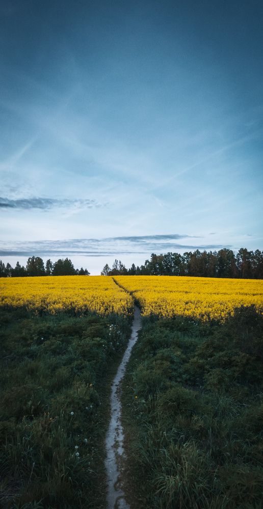 Фотография автора Геннадий Ломеко