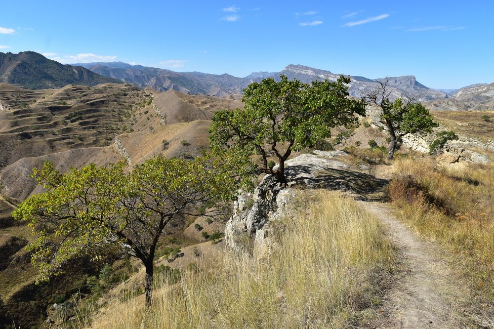 Photograph by Анна Стрельченко