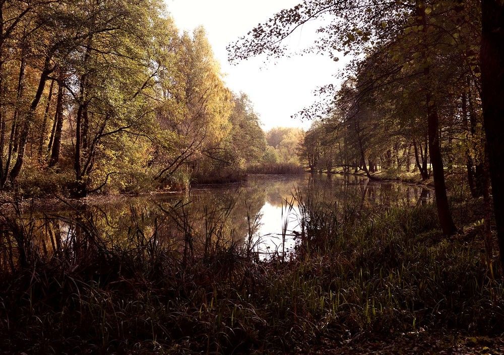 Photograph by Елена Пасажицкая