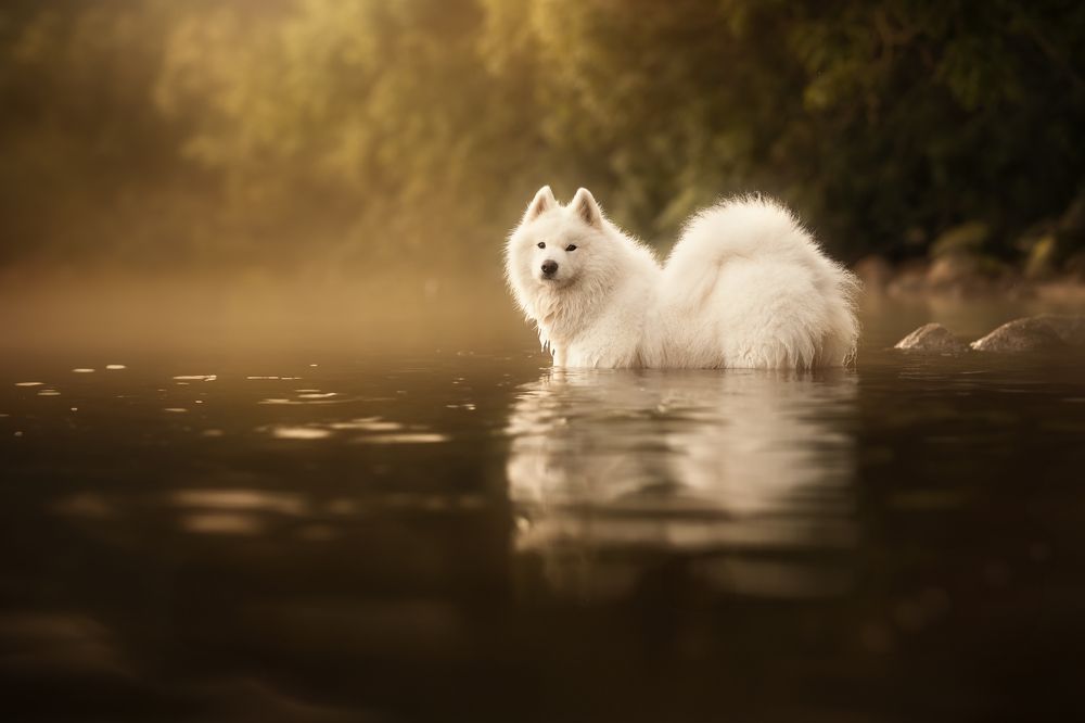 Photograph by Fleur Scholte