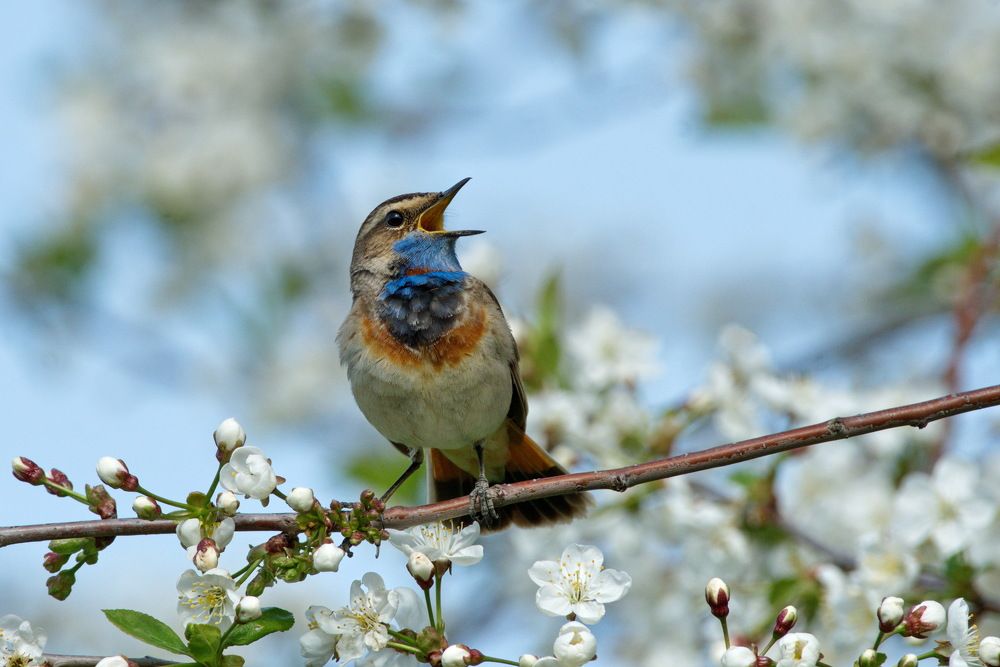 Photograph by Елена Валова