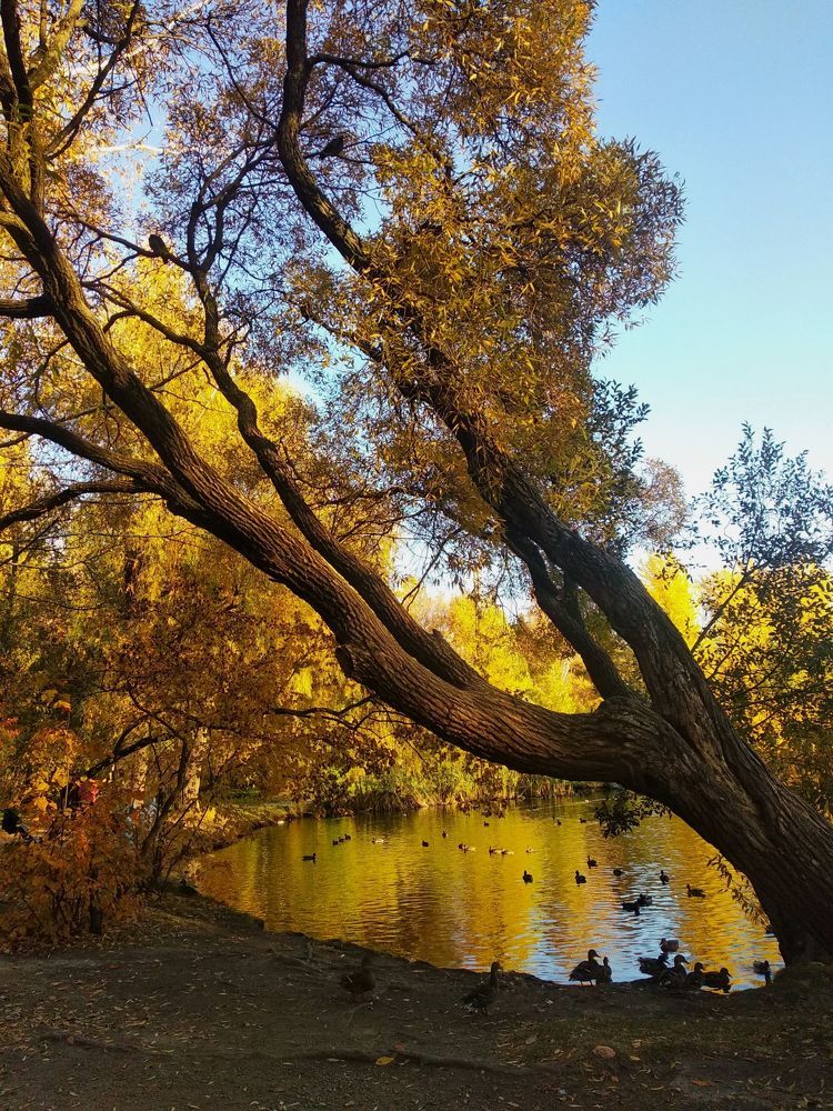 Photograph by Елена