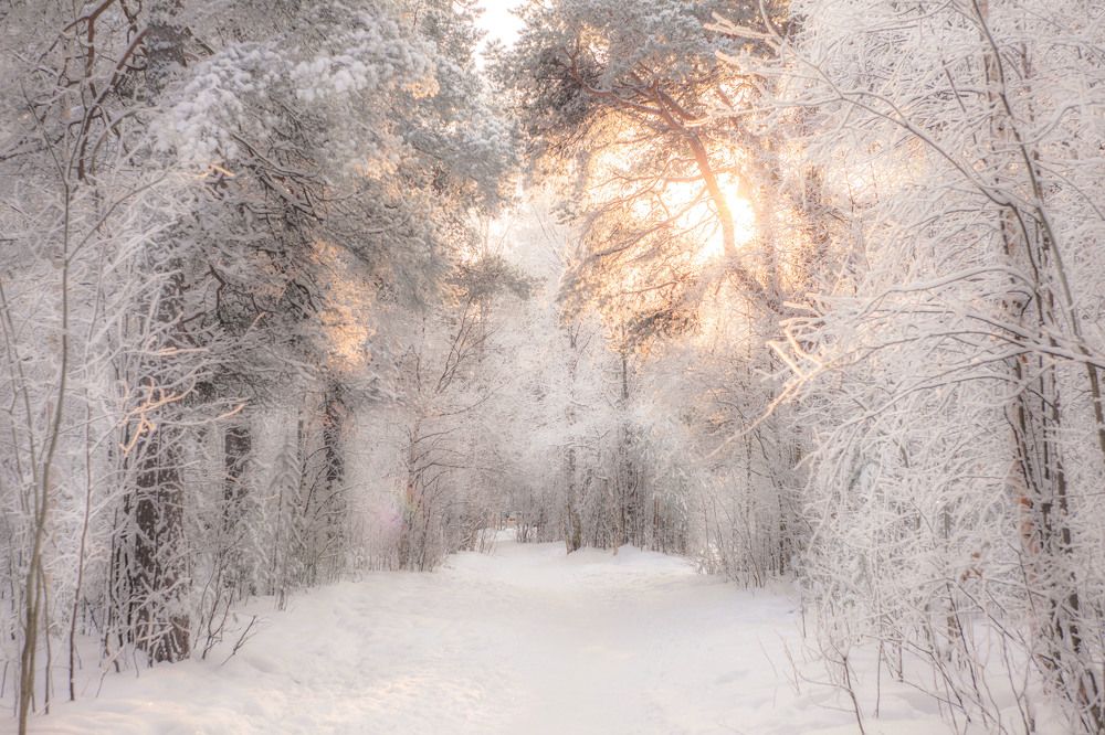 Photograph by Наталья Вторыгина