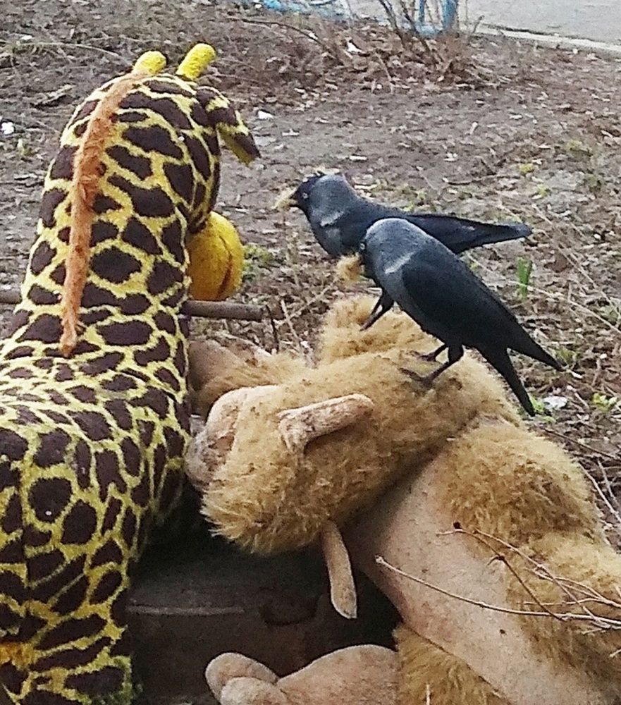 Photograph by Татьяна Кунц