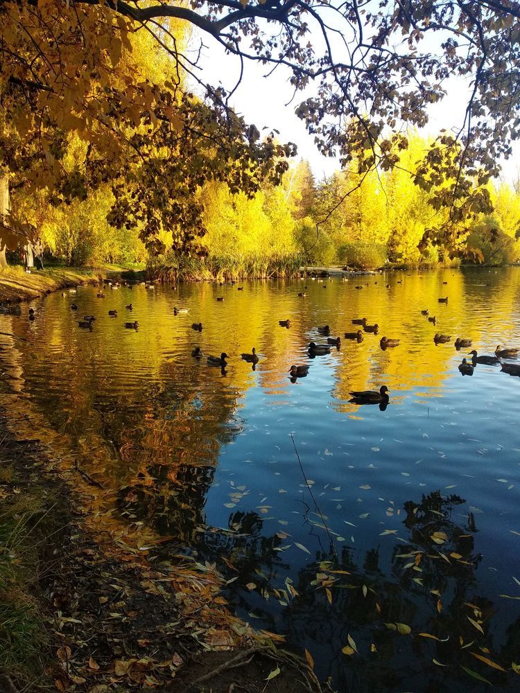 Photograph by Елена