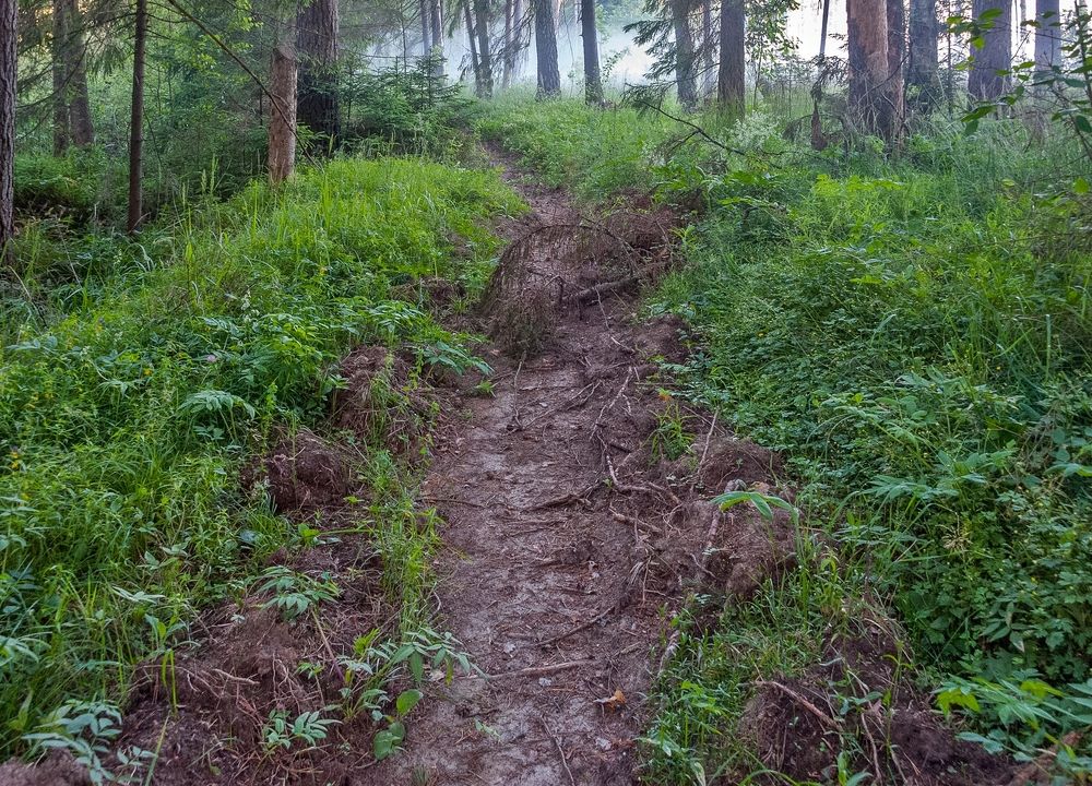 Photograph by Валерий Клейменов