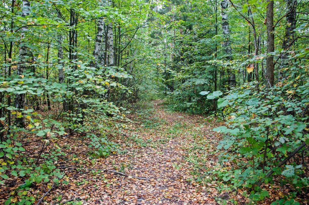 Photograph by Валерий Клейменов