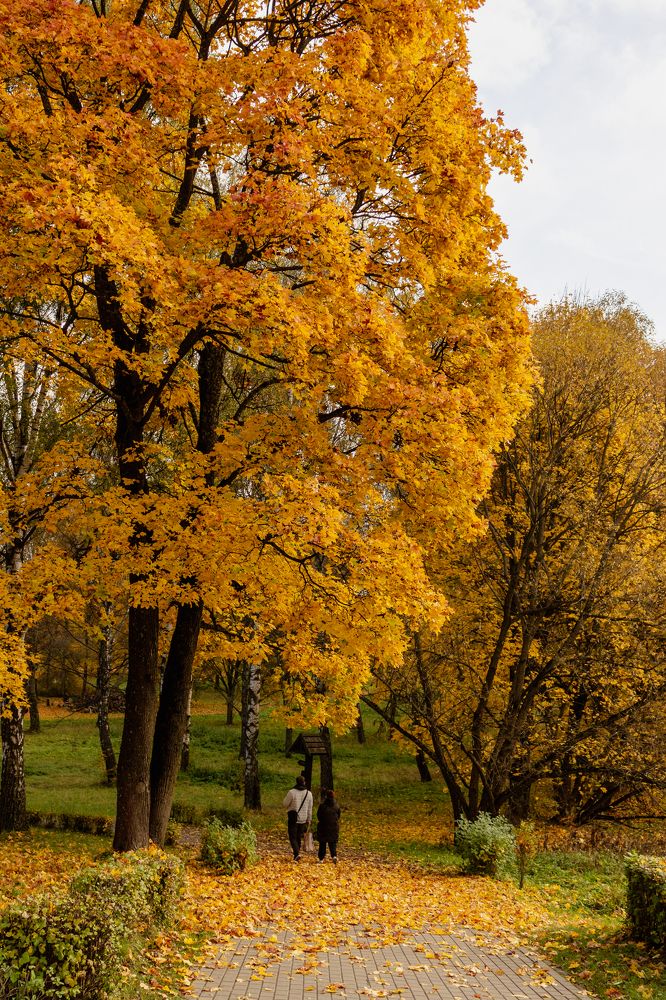 Фотография автора Ольга Войтехович