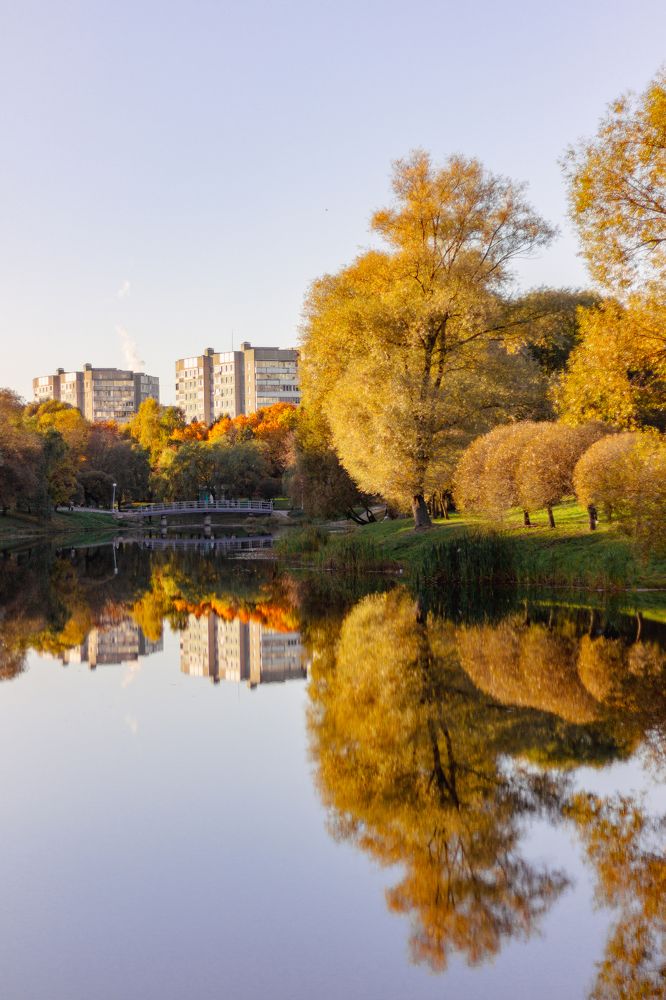 Фотография автора Ольга Войтехович
