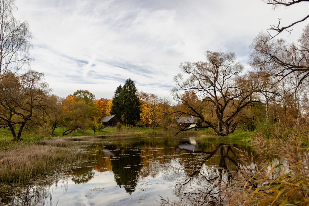 Фотография автора Ольга Войтехович