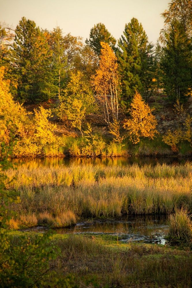 Photograph by Юлия Арестова