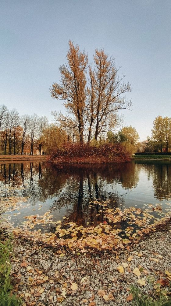 Photograph by Светлана Масютина
