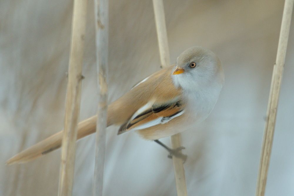 Photograph by Елена Валова