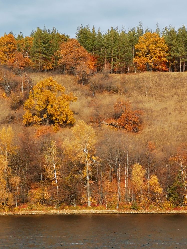 Photograph by Alexey Reznichenko