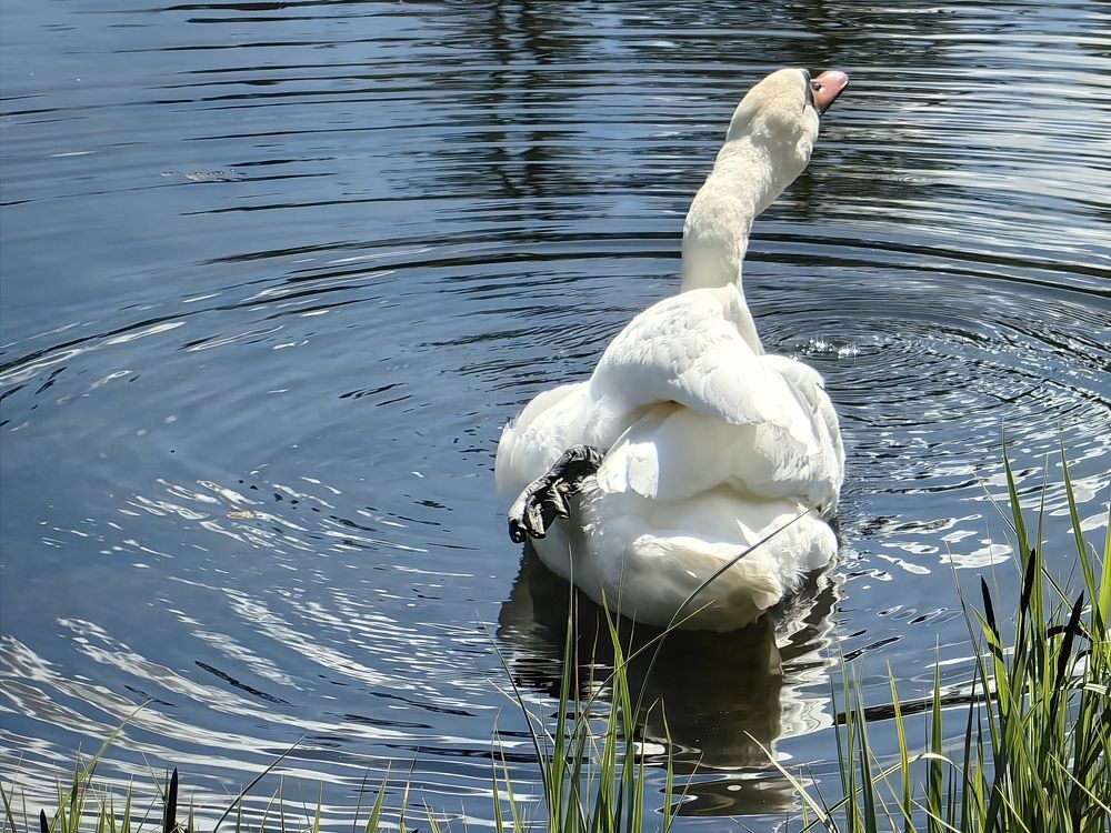 Photograph by Елена Акимова