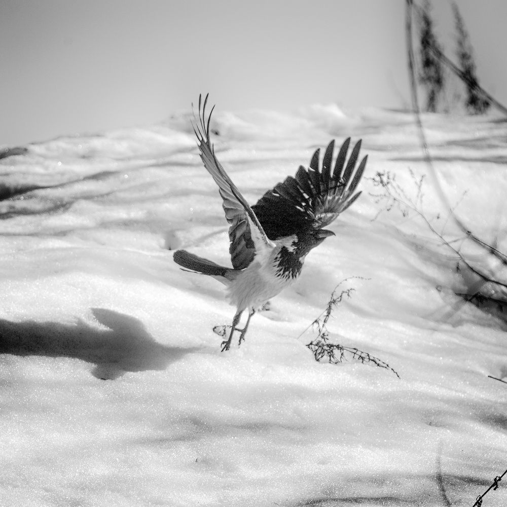 Фотография автора Aleksei Kartashov