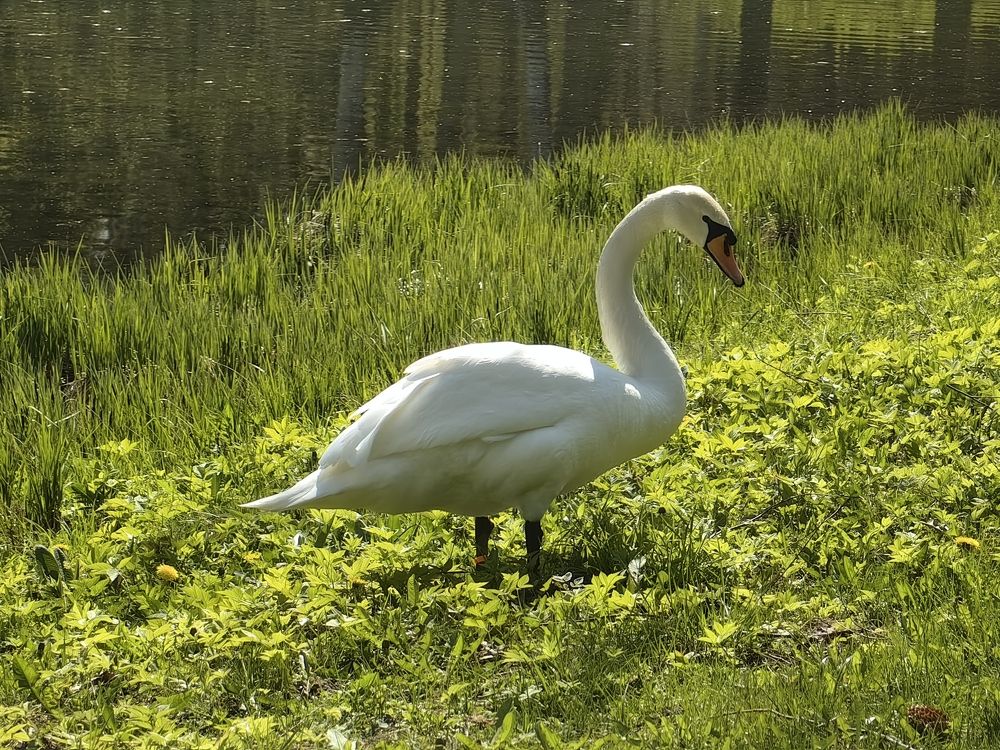 Photograph by Елена Акимова