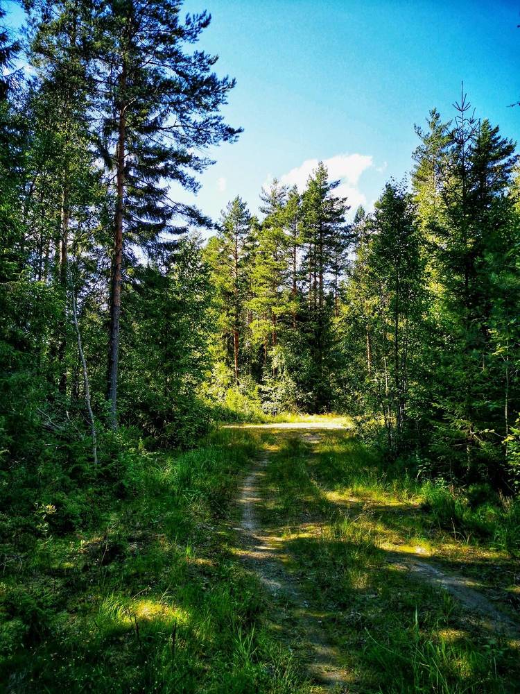 Photograph by Елена Артёменко