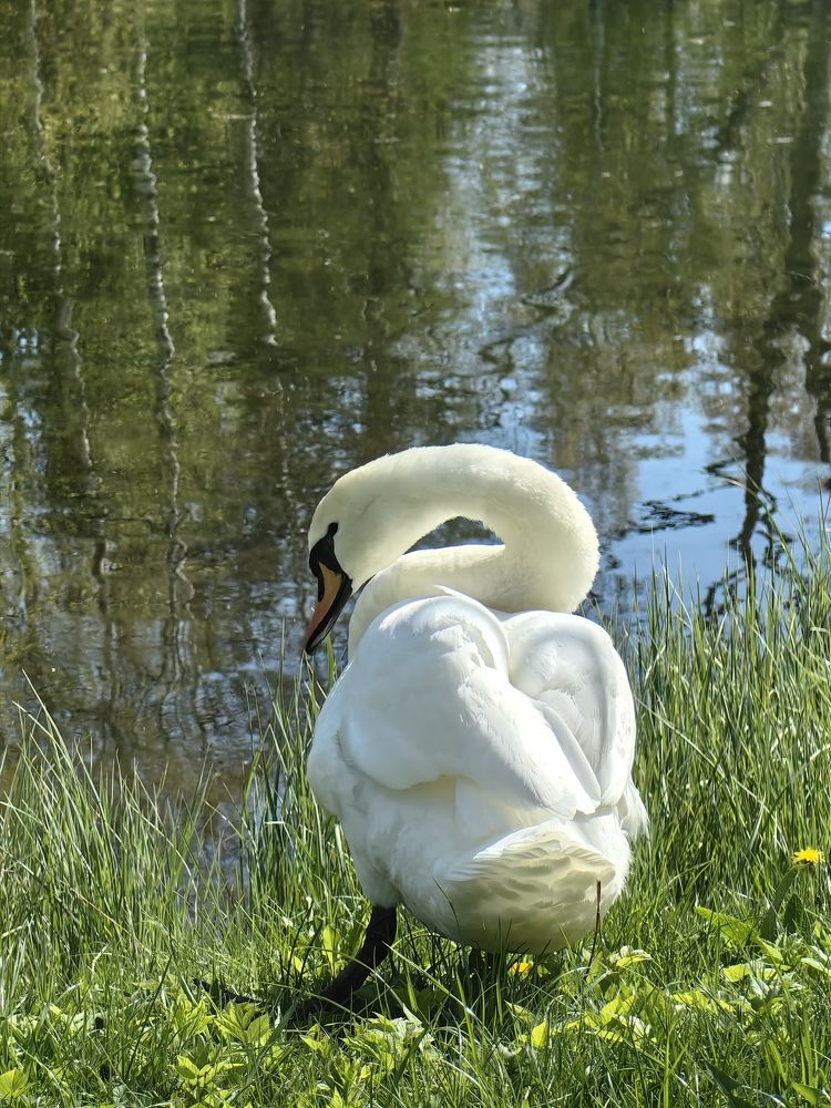 Photograph by Елена Акимова