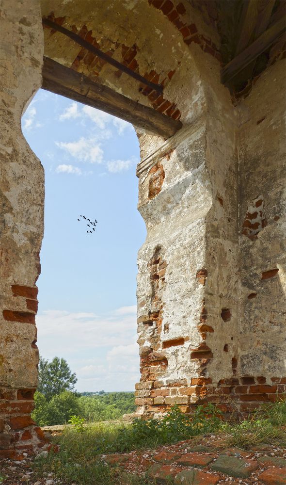 Photograph by Анатолий Максимов