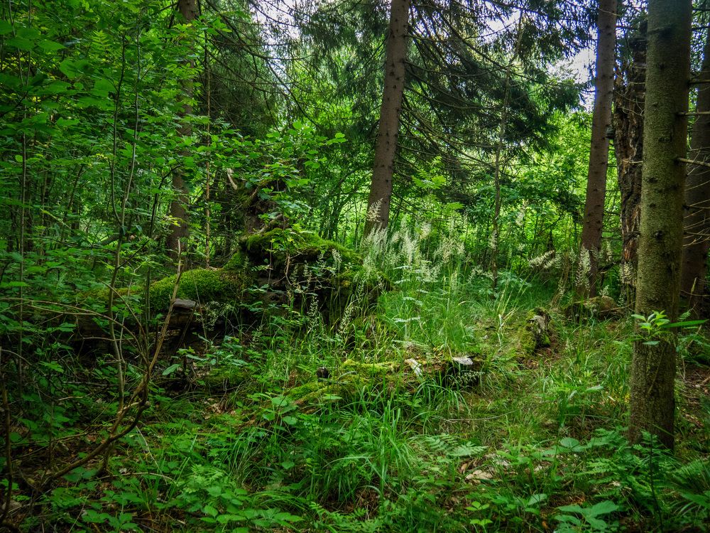 Photograph by Михаил Шохин