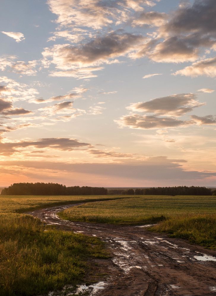 Фотография автора Evgeny Shlomov