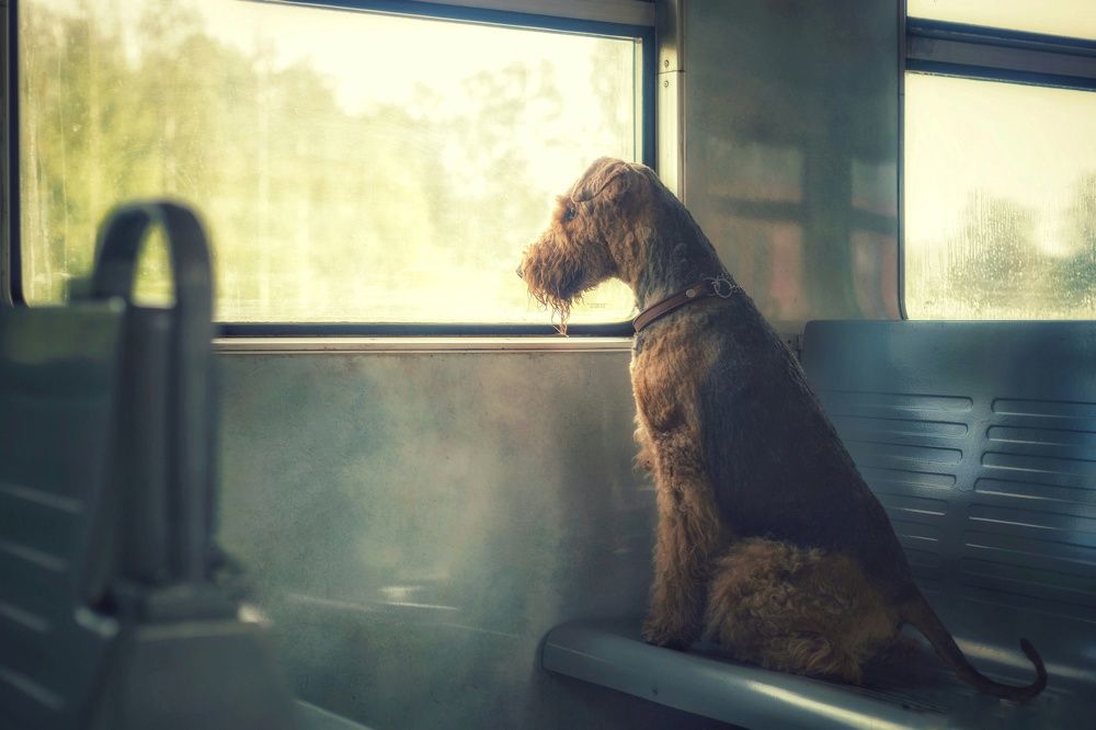 Photograph by Татьяна