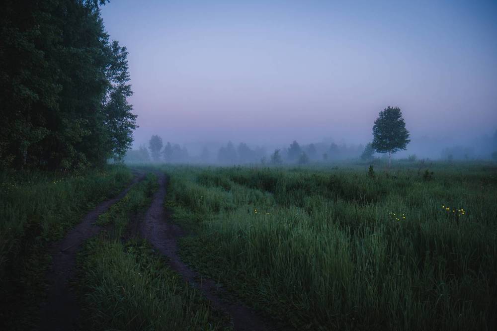 Фотография автора Evgeny Shlomov