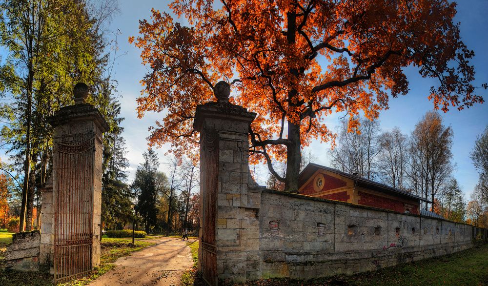 Photograph by Сергей Григорьев