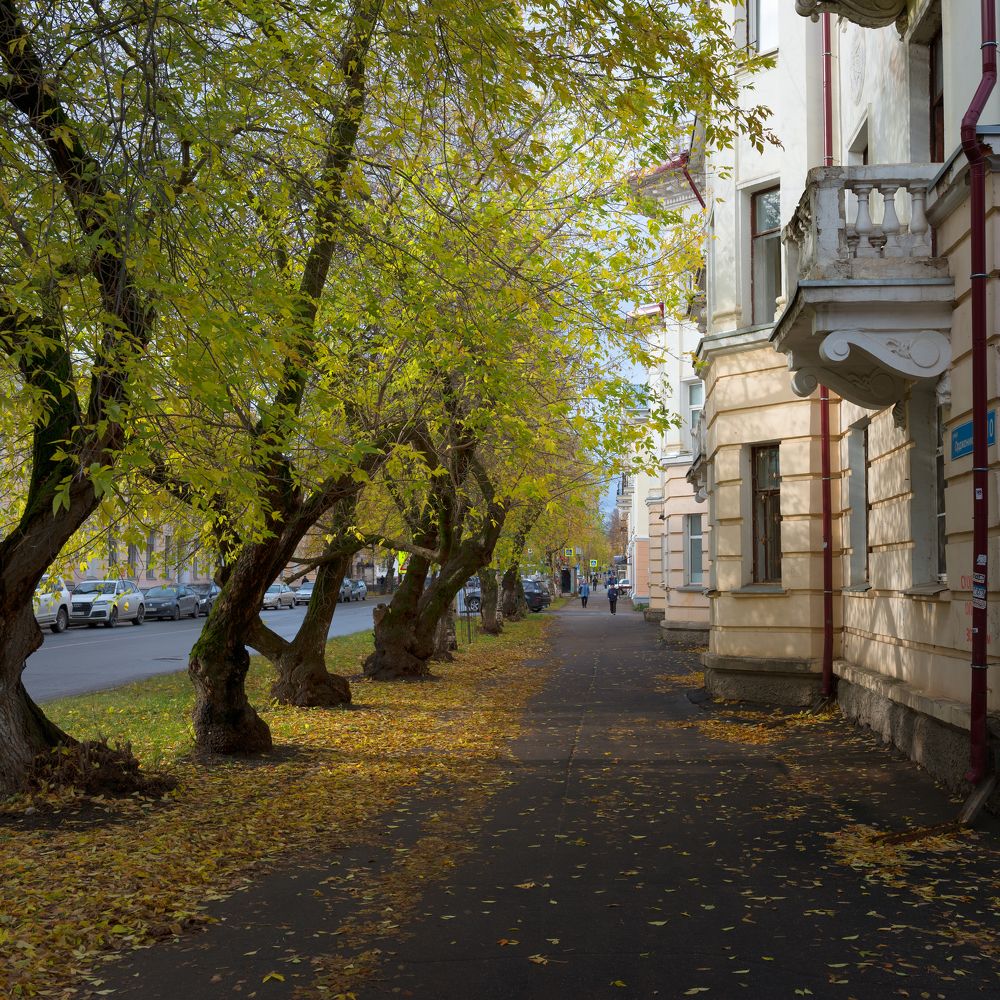 Провинциальная осень