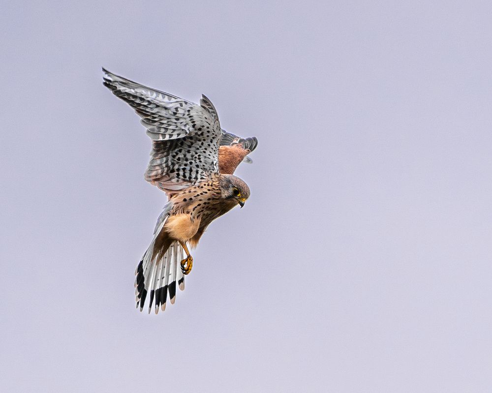 Photograph by Raman Danilchyk