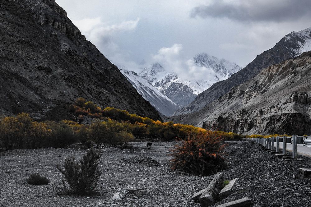 Photograph by Наталья Л.