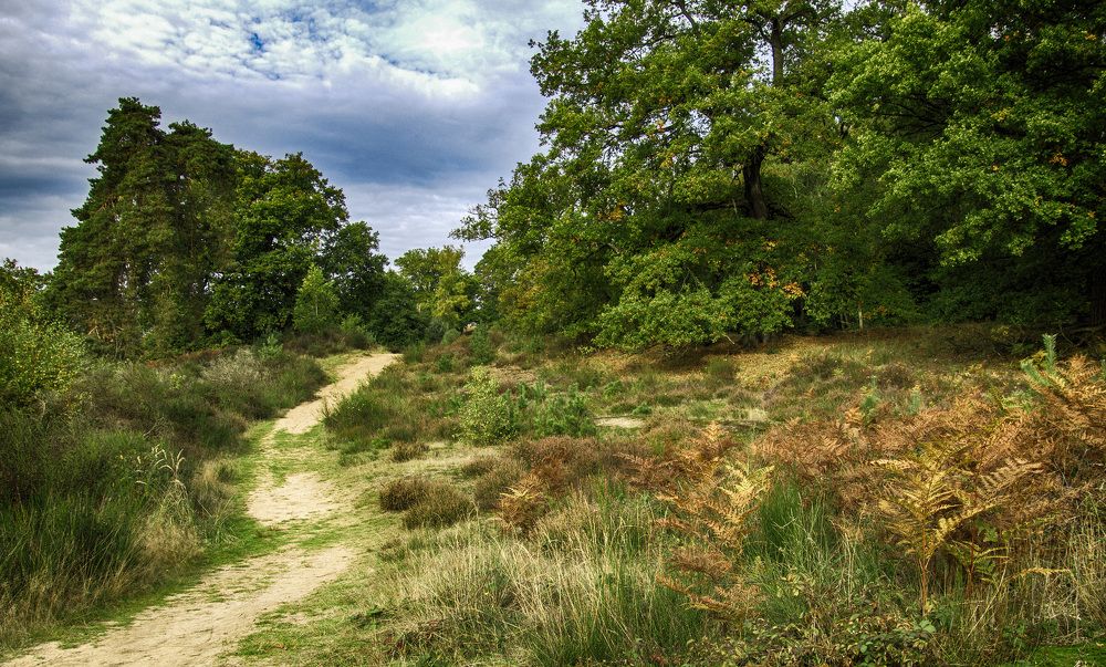 Фотография автора Александр
