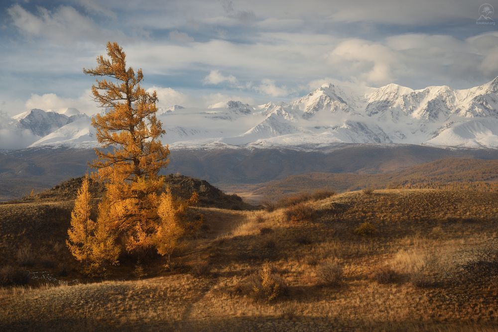 Photograph by Гордиенко Анатолий