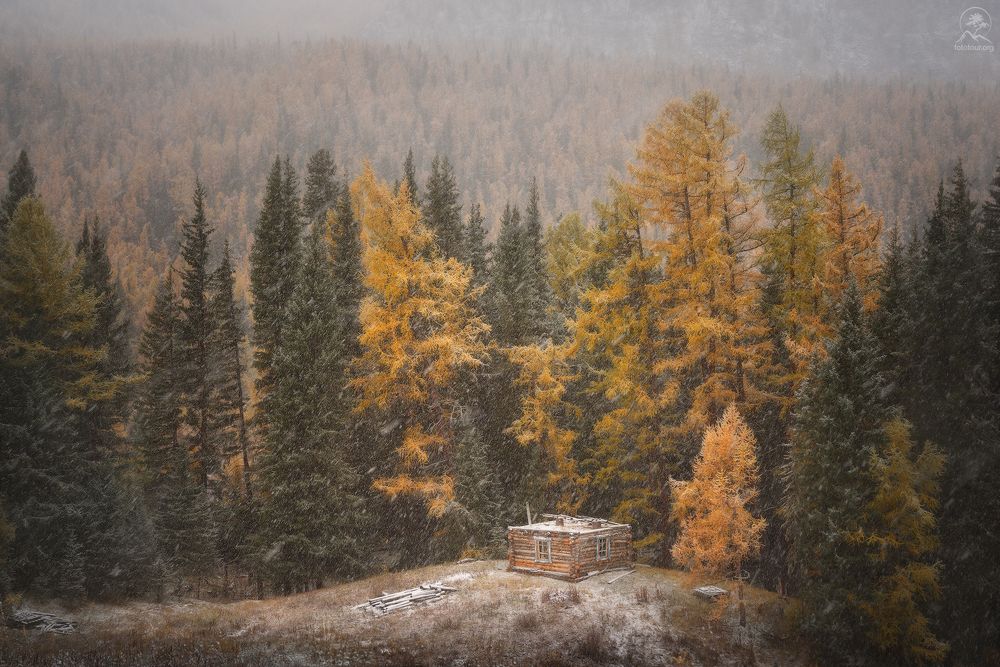 Фотография автора Гордиенко Анатолий