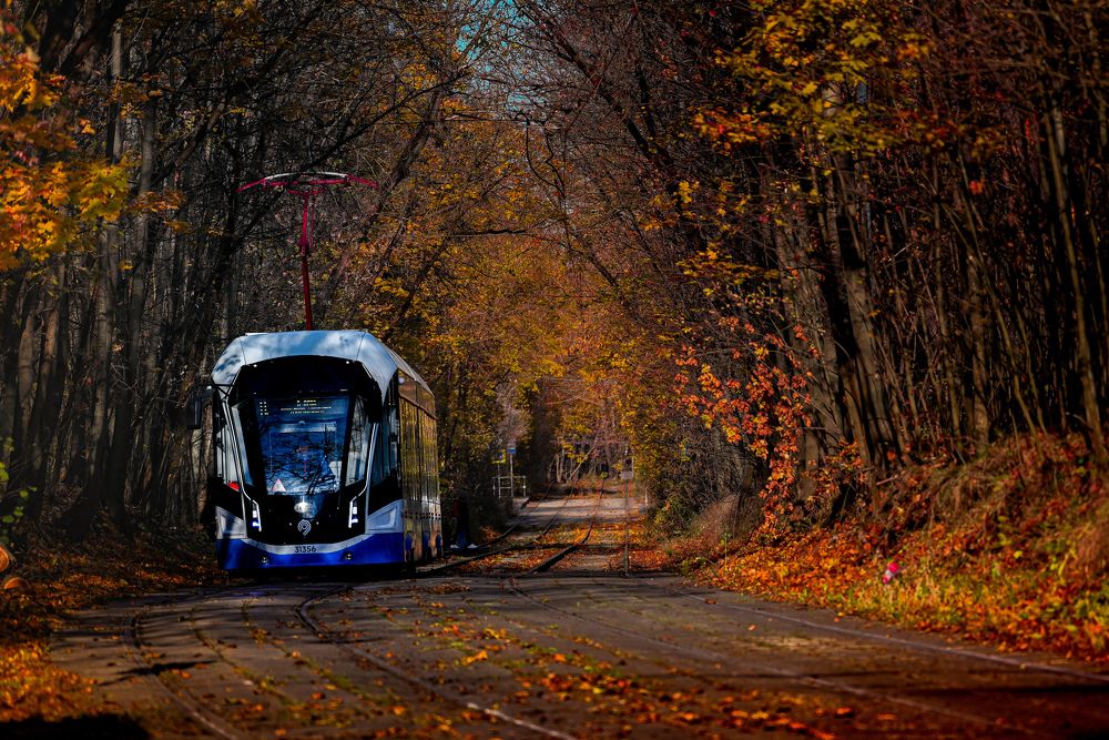 Фотография автора Sergey Smorchkov