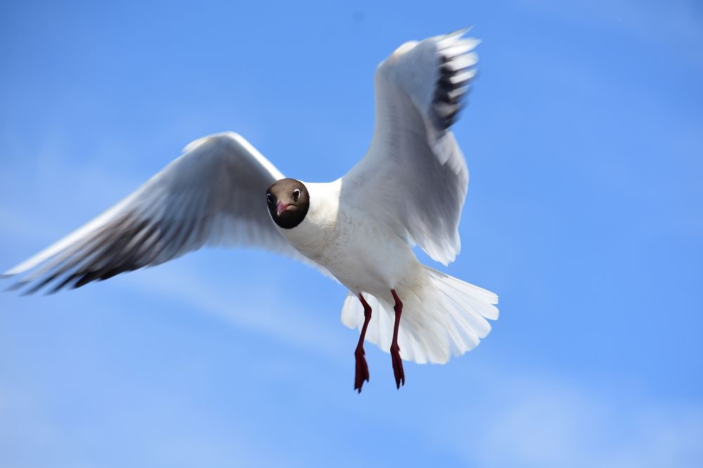 Photograph by Егор Колягин